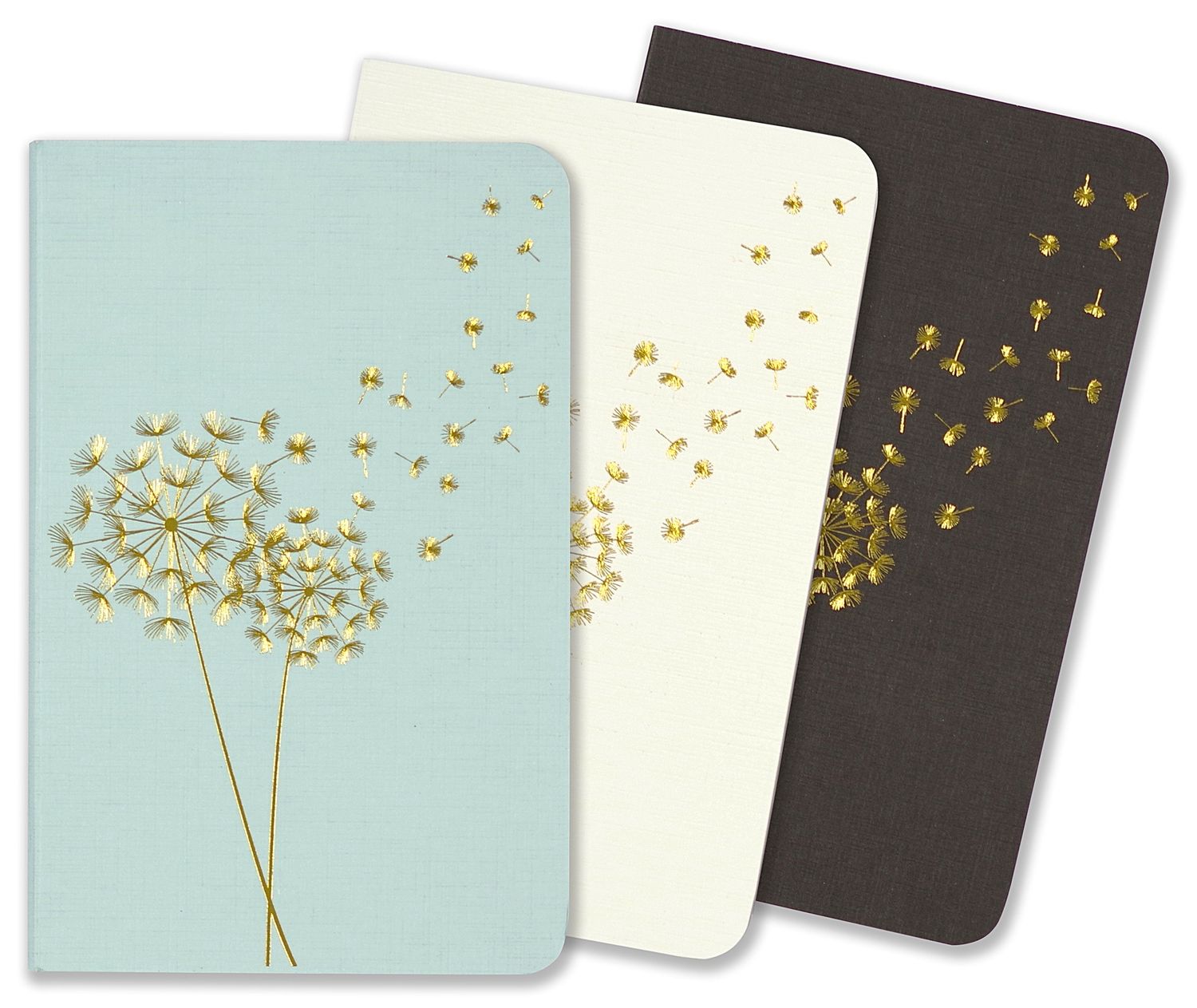 Jotter Mini Notebook Set: Dandelion Wishes