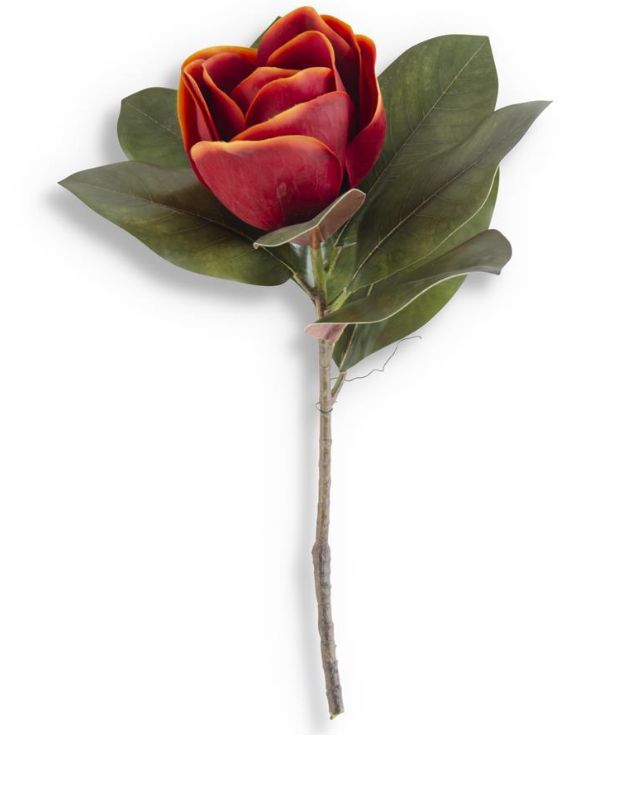 17 Inch Orange Magnolia Stem