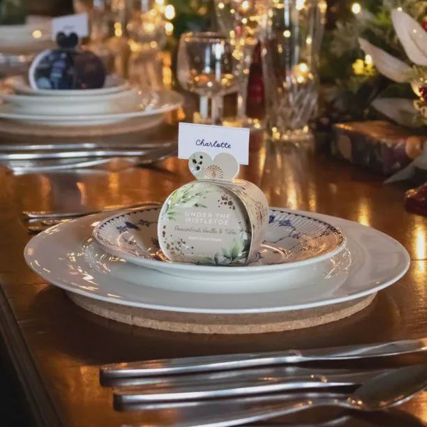 Under the Mistletoe Heart Guest Soaps