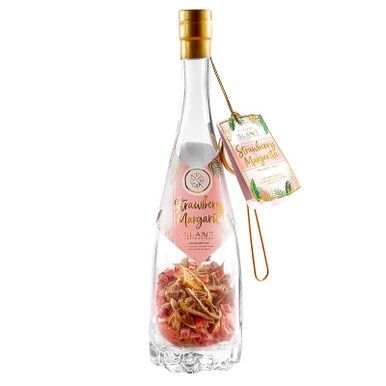 Strawberry Infusion Set