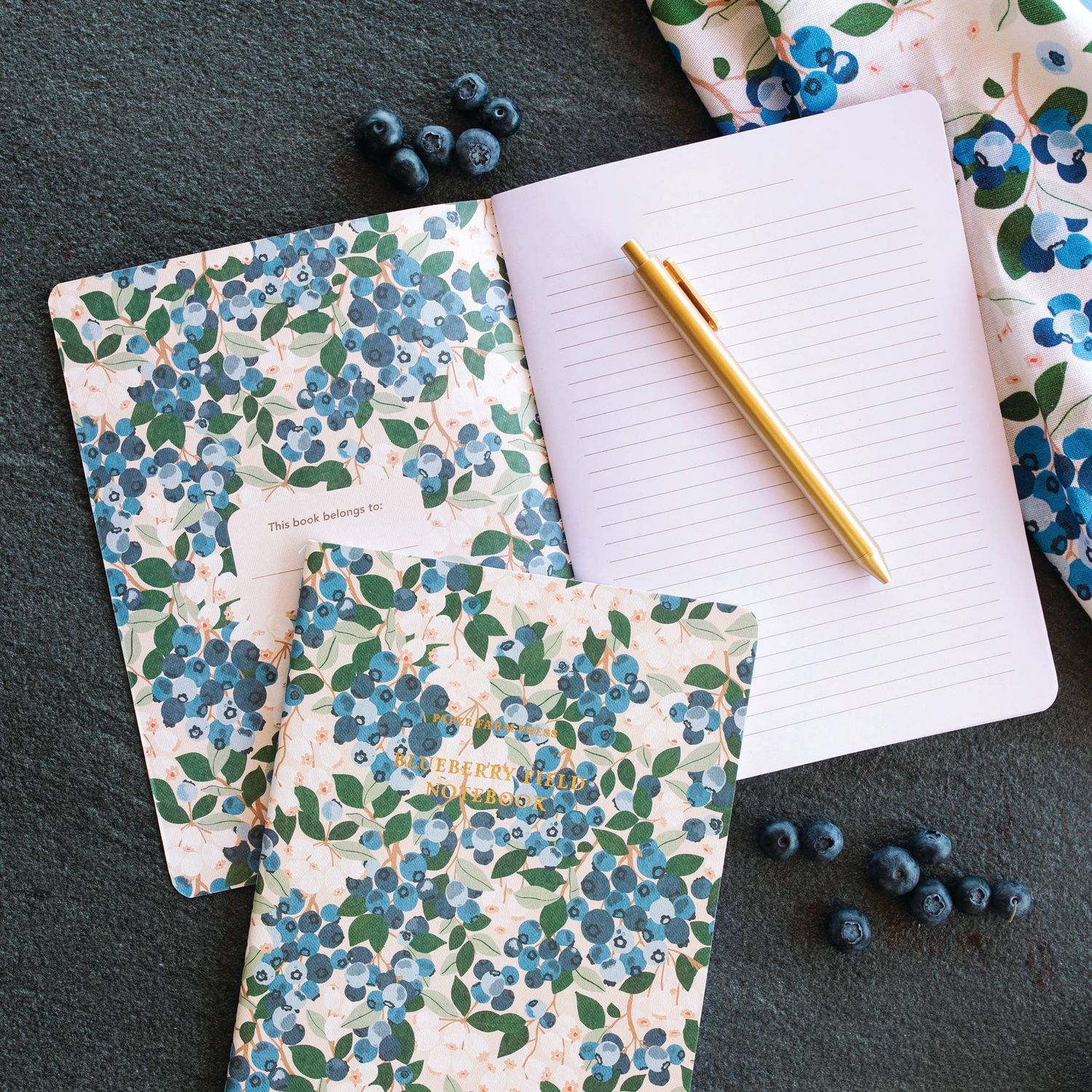 Flourish in Faith Blueberry Field Stitched Notebook