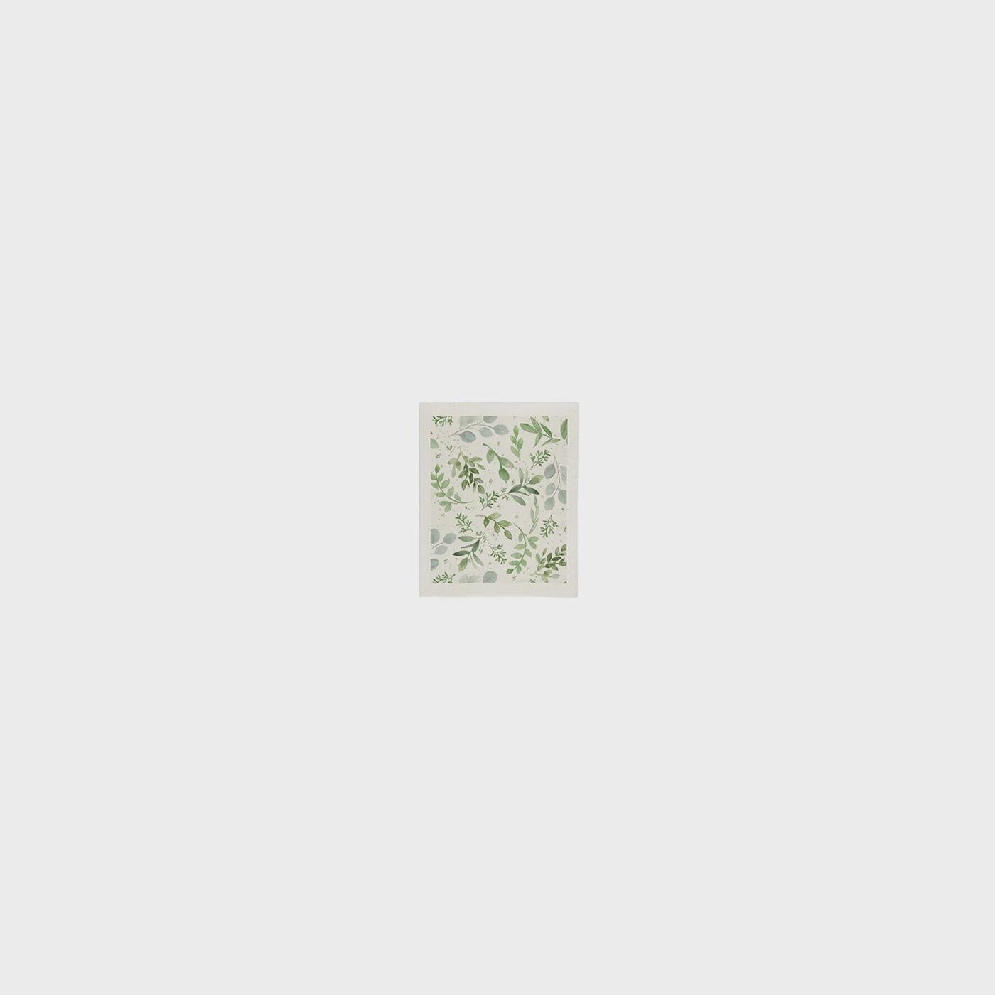 Eucalyptus Sponge Cloth Green