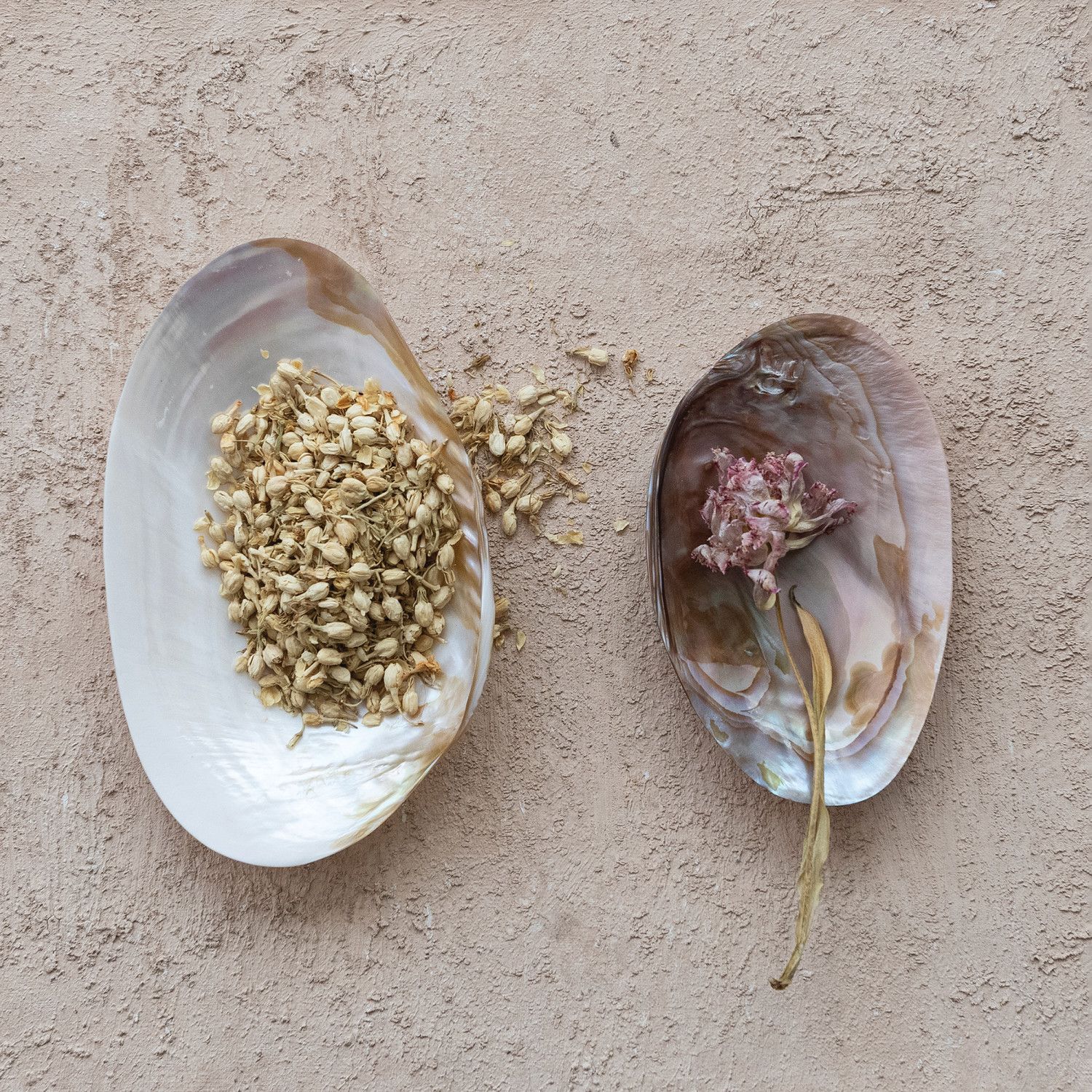 Decorative Natural Shell Footed Dish