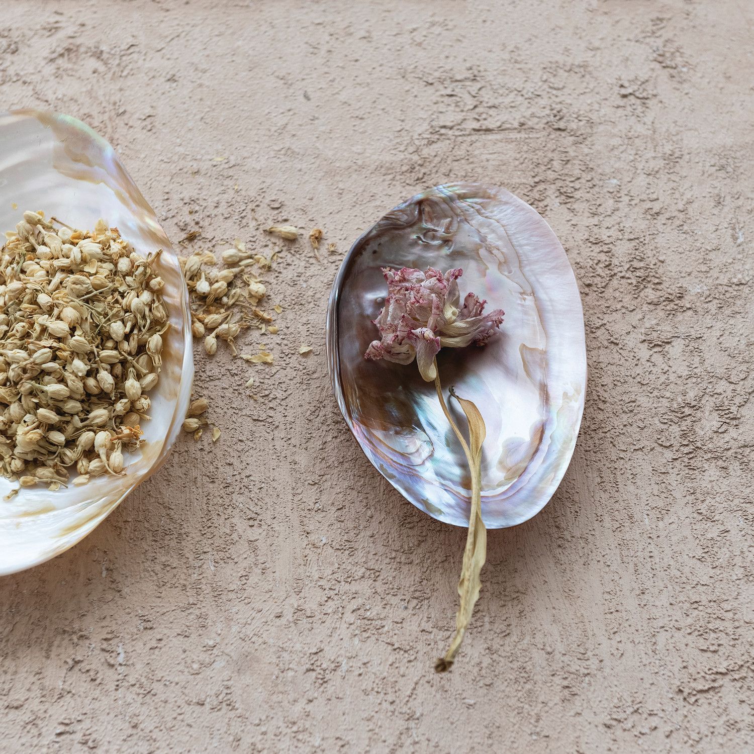 Natural Shell Footed Dish