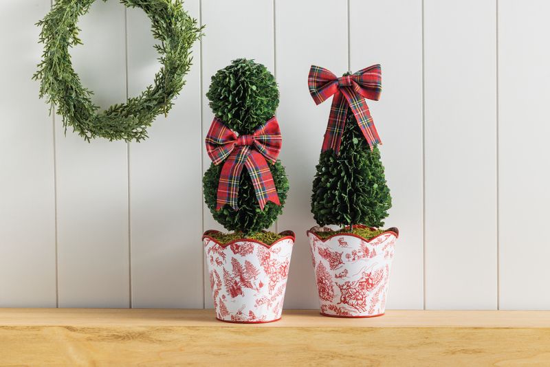 Small Toile Boxwood