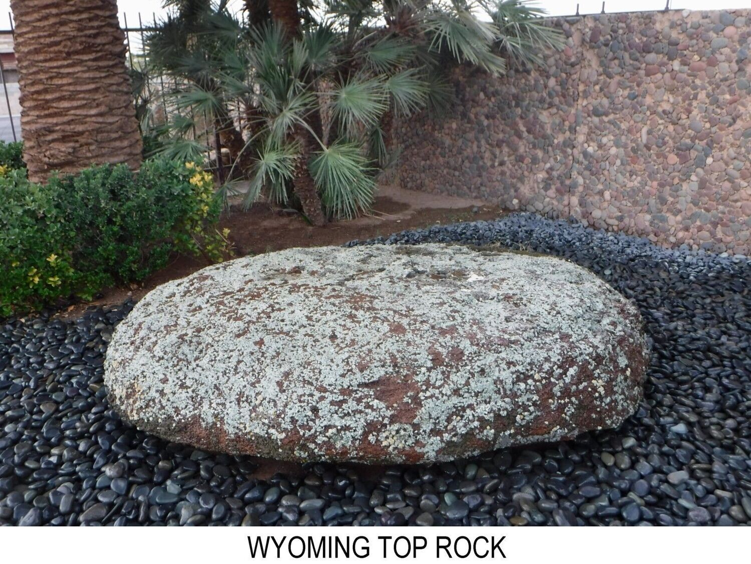 WYOMING TOP ROCK