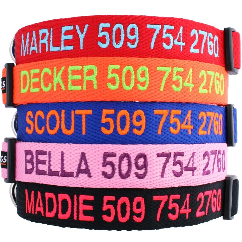 Personalized Collar