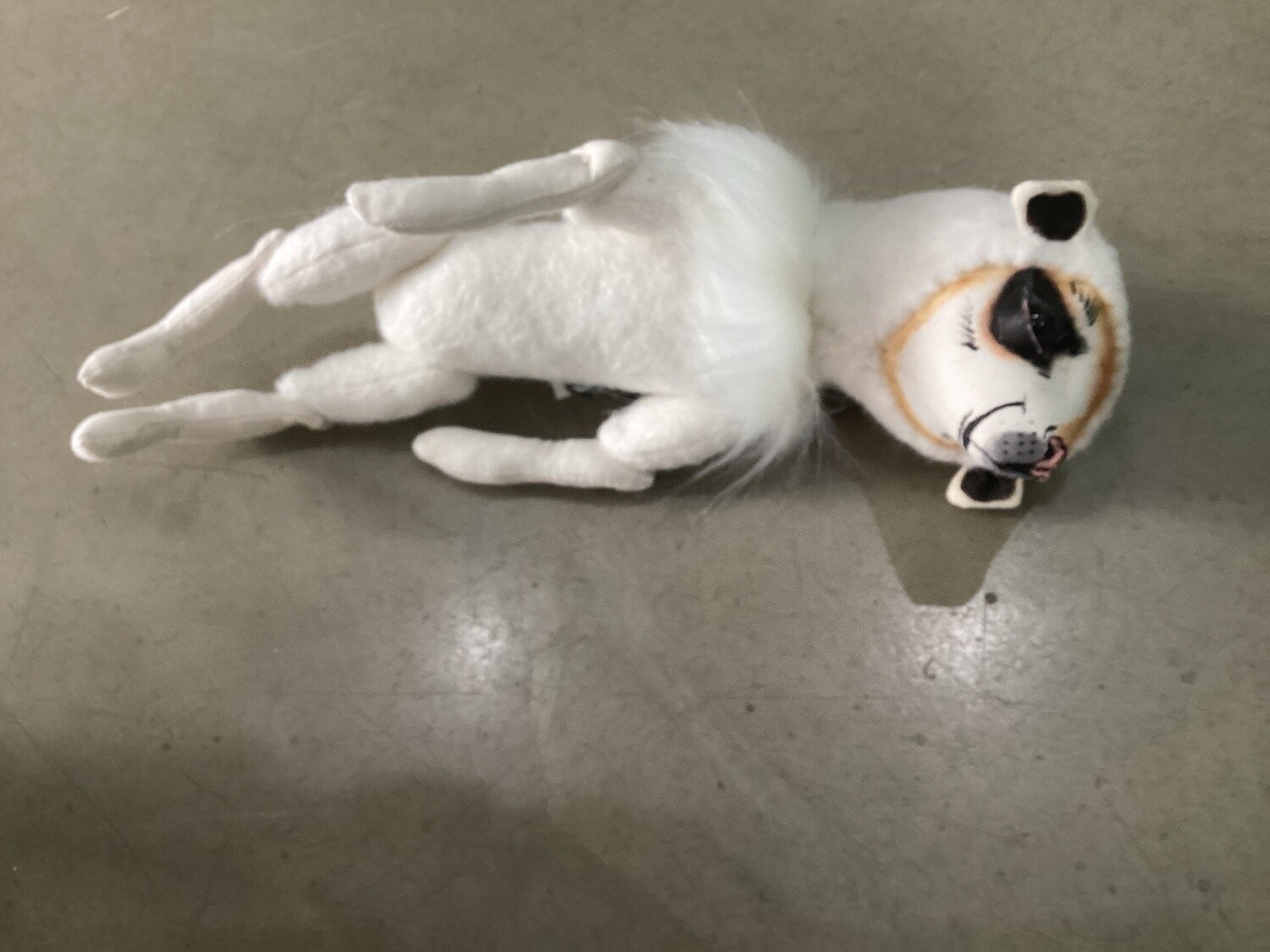 Meerkat