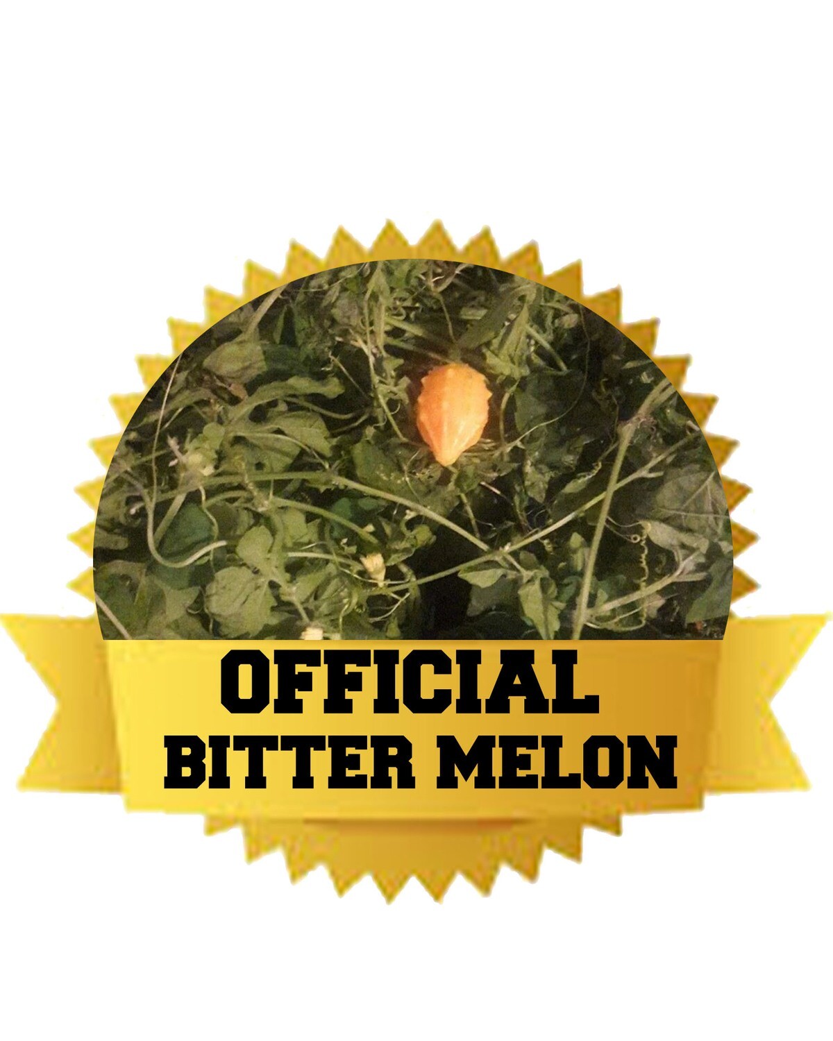 OFFICIAL BITTER MELON/CERASEE Capsules
