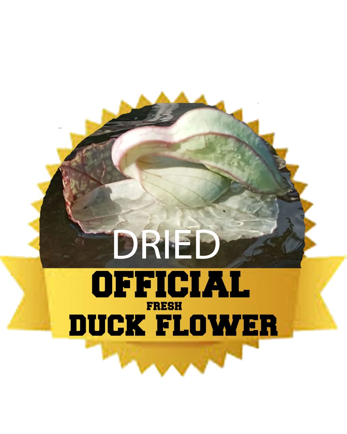 OFFICIAL DUCK FLOWER (Freeze Dried)