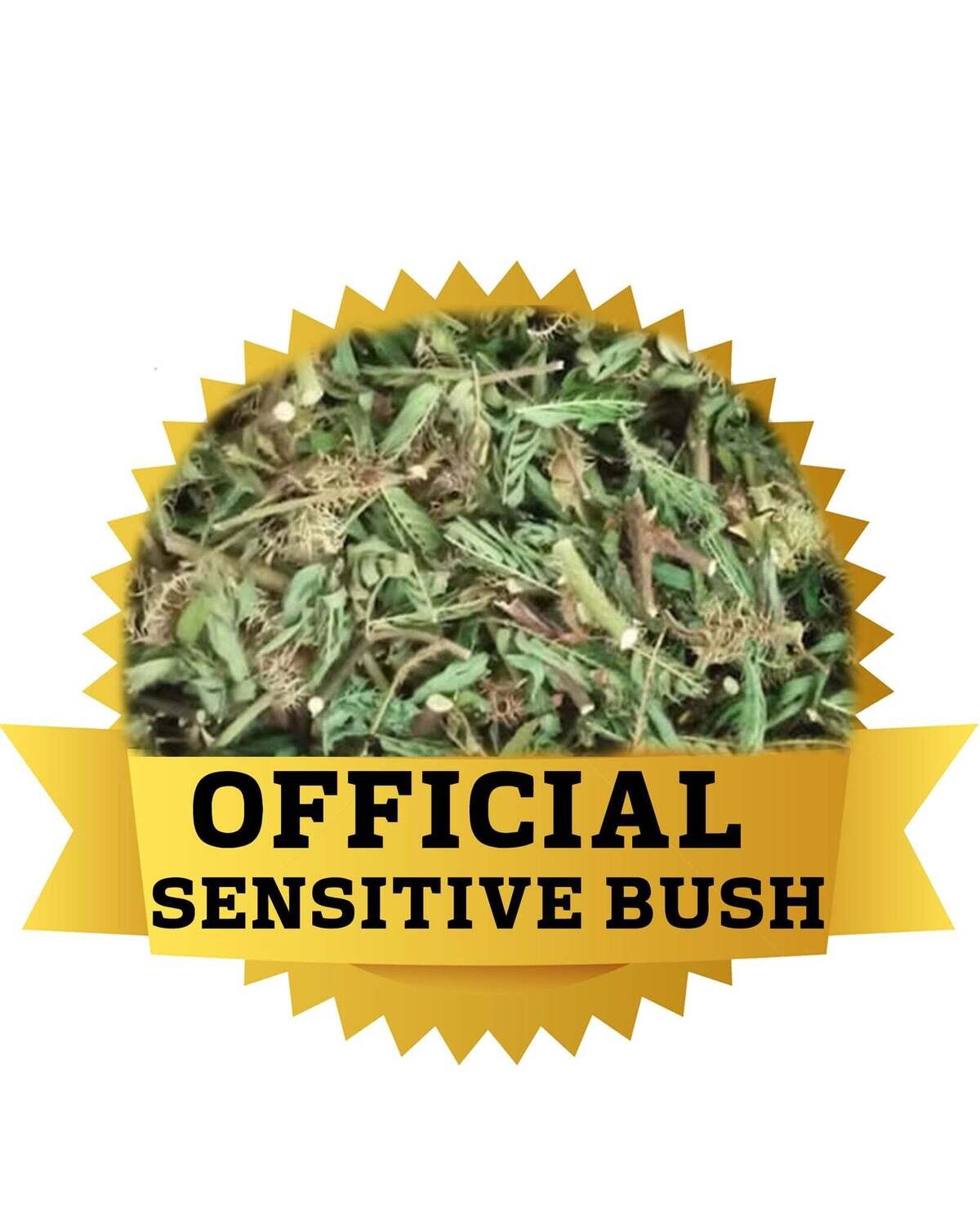 OFFICIAL SENSITIVE BUSH/SENSITIVA Capsules