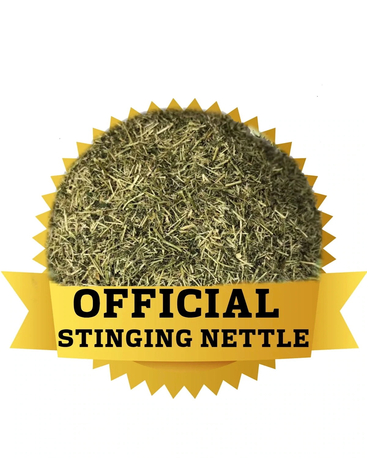 OFFICIAL STINGING NETTLE herb