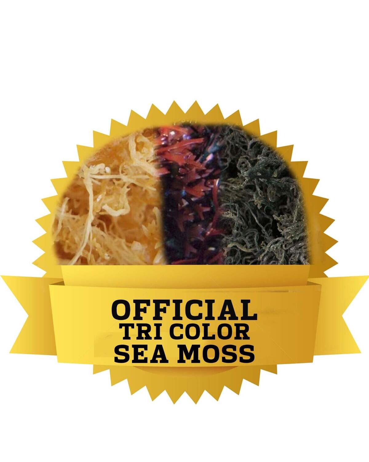 OFFICIAL TRI-COLOR SEA MOSS