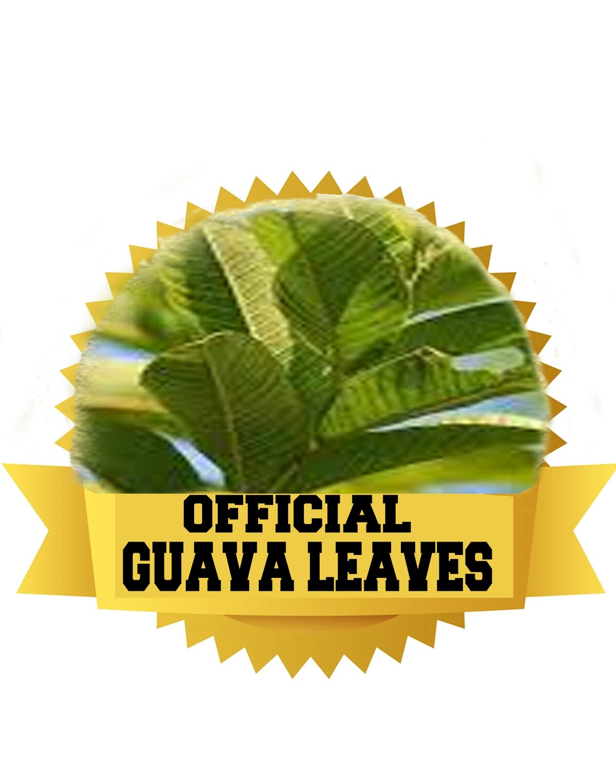 OFFICIAL GUAVA LEAVES
