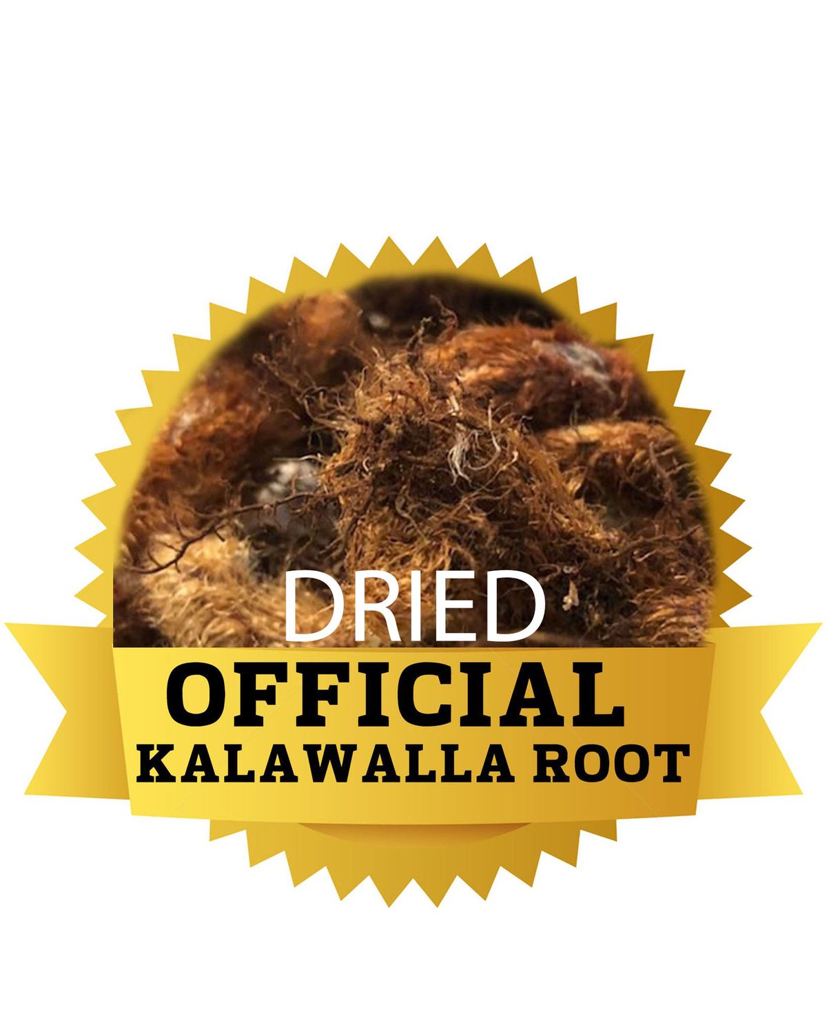 OFFICIAL KALAWALLA ROOT (Freeze Dried)