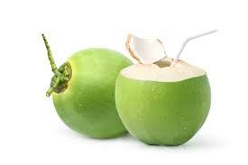 Caribbean Green Young Coconut(jelly&amp; water) 1 case - WILD CRAFTED