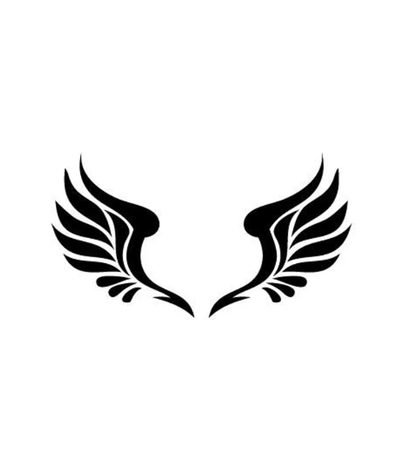Devil &amp; Angel Wings Series