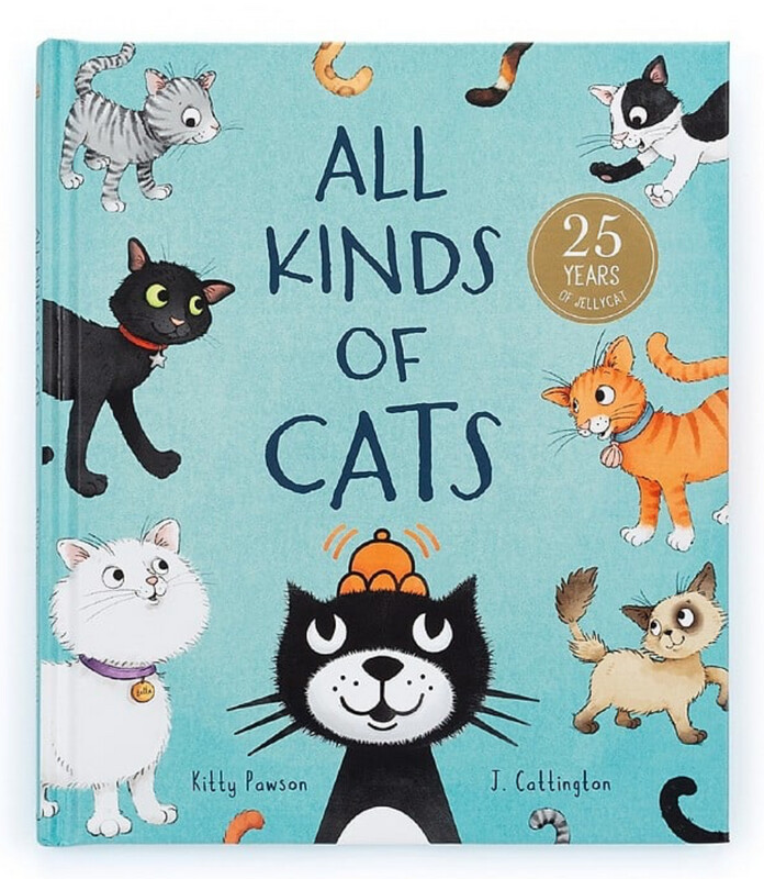 ALL KINDS OF CATS BOOK