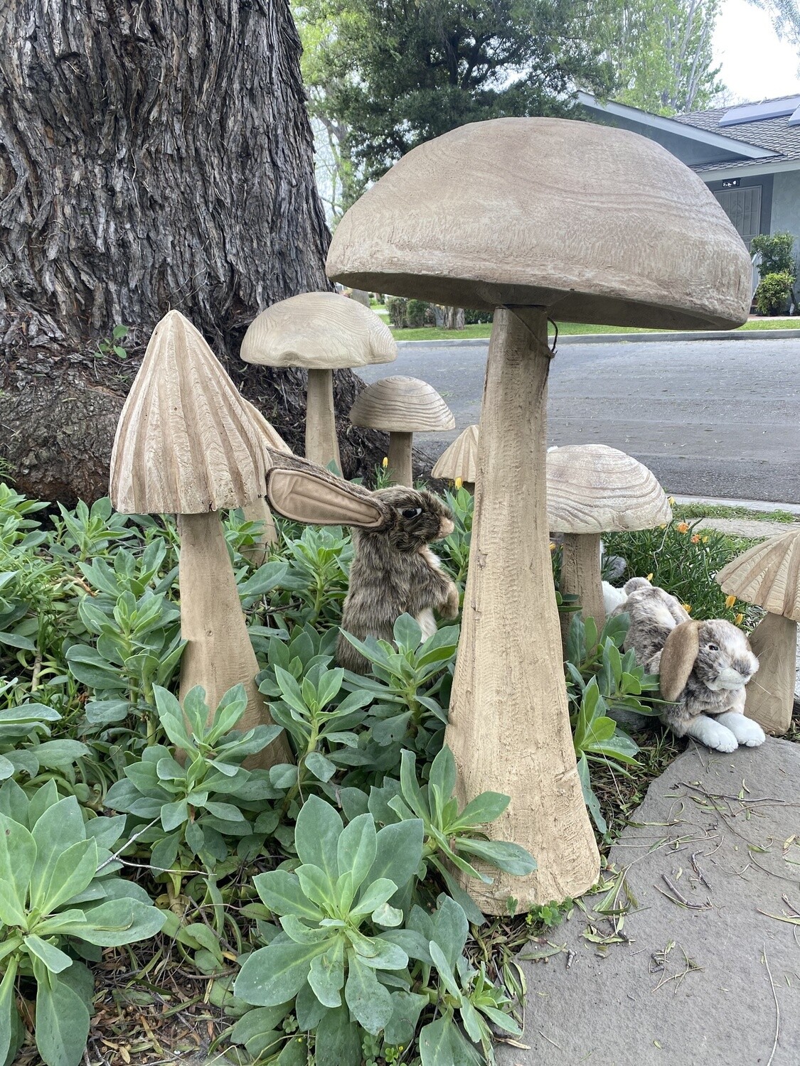 32 IN MAGNES MUSHROOM
