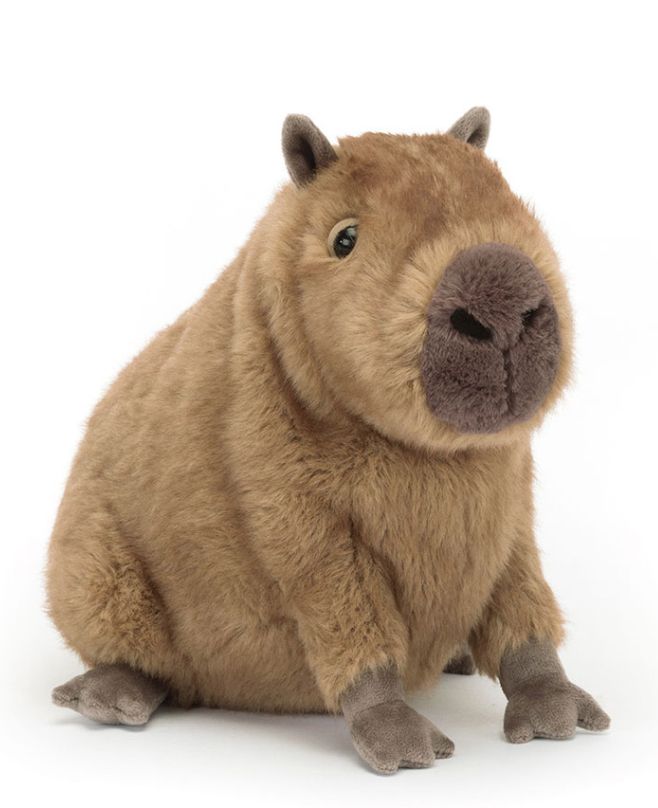 CLYDE CAPYBARA