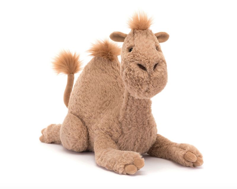 RICHIE DROMEDARY