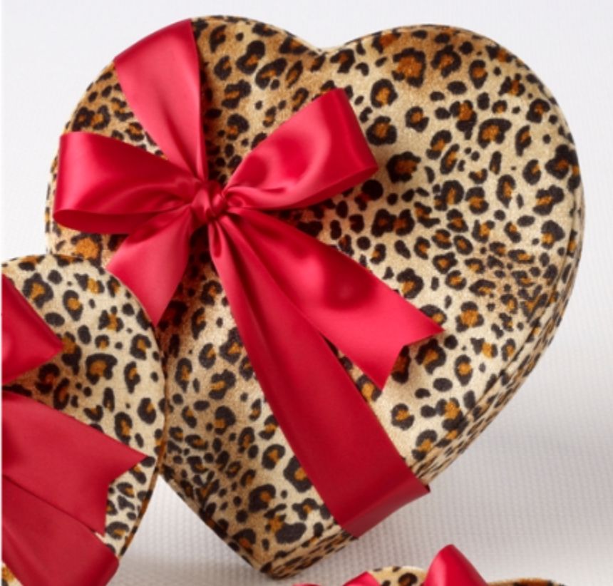 6 PC LEOP HEART BOX