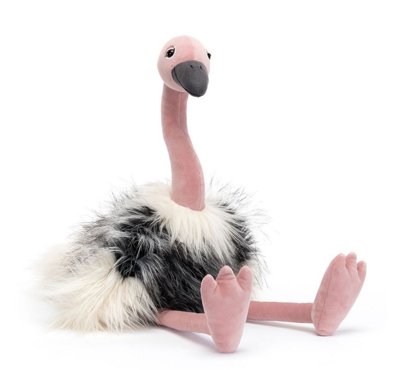 RAMONDA OSTRICH