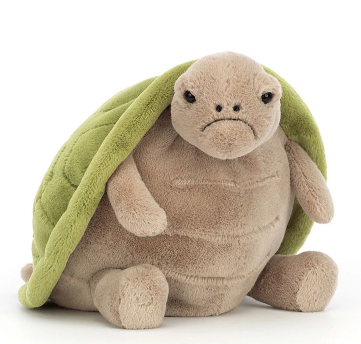 TIMMY TURTLE BIG