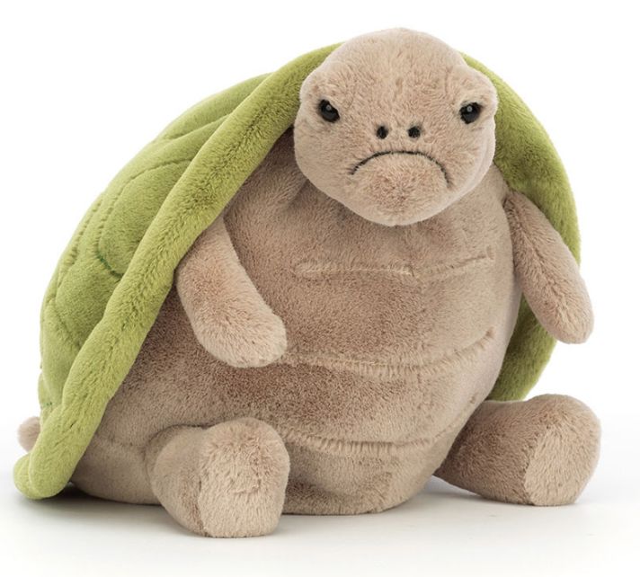 TIMMY TURTLE