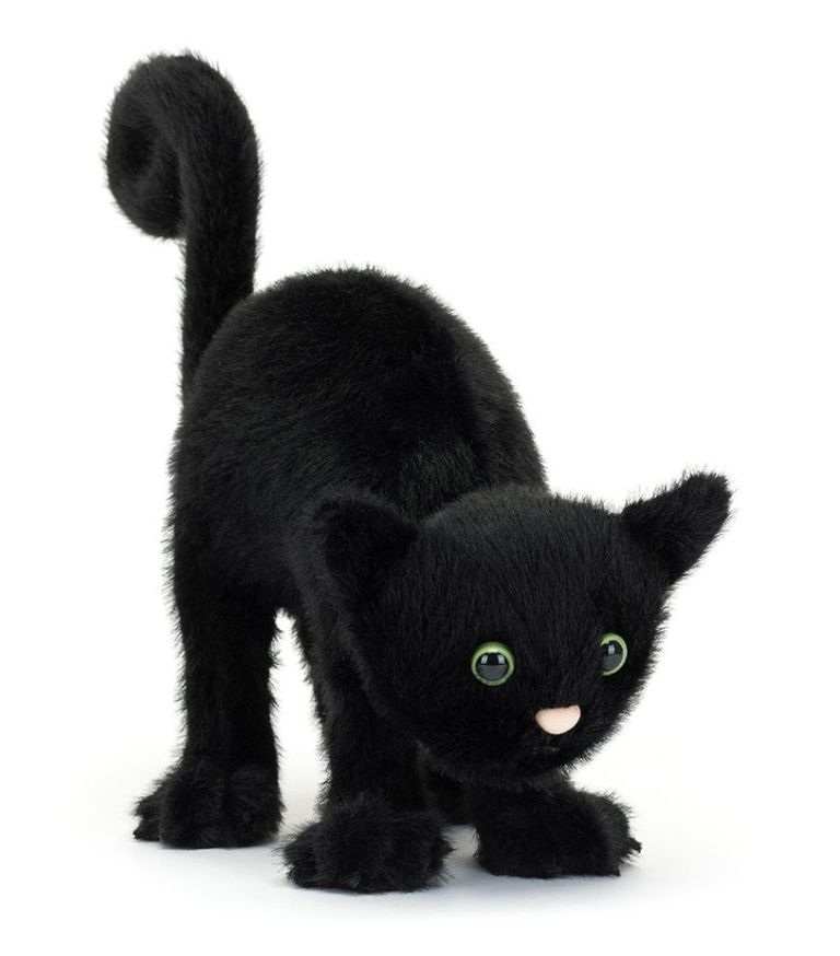 SPOOKIPAWS CAT