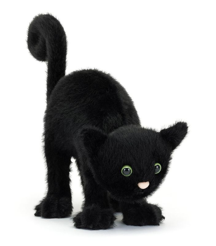 SPOOKIPAWS CAT