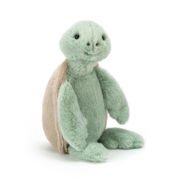 BASHFUL TURTLE MED