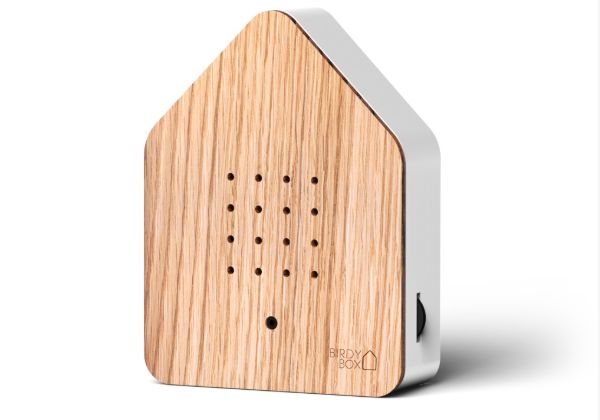 BIRDY BOX WOOD