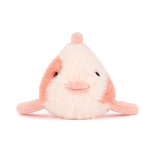 FANCY CARP FANCY CARP