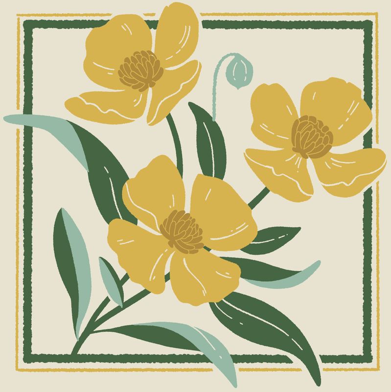 Bush Poppy Tote – Garden and Nature Bag