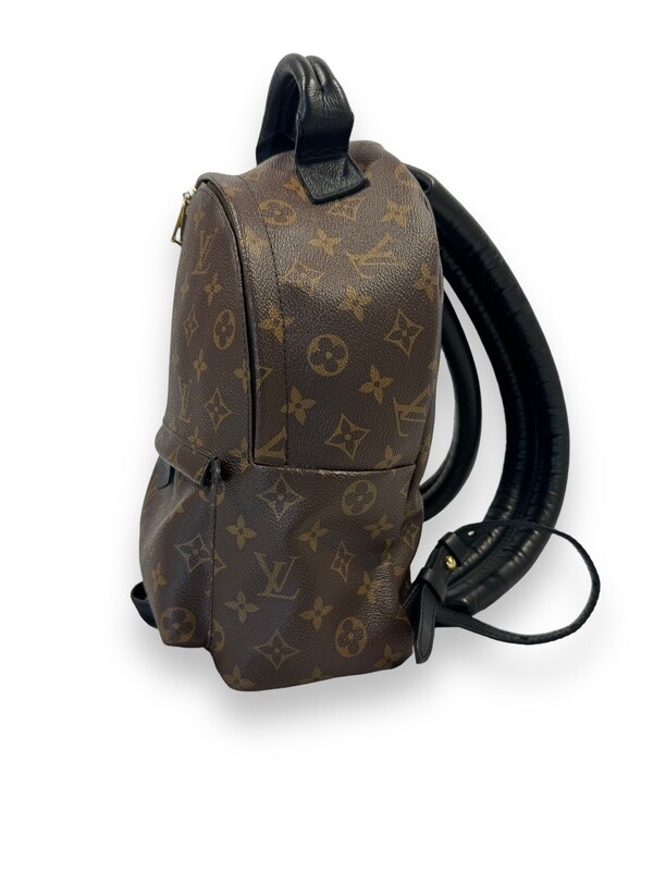Louis Vuitton Palm Springs Backpack PM