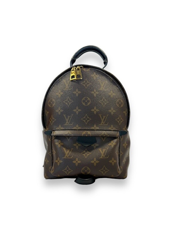 Louis Vuitton Palm Springs Backpack PM