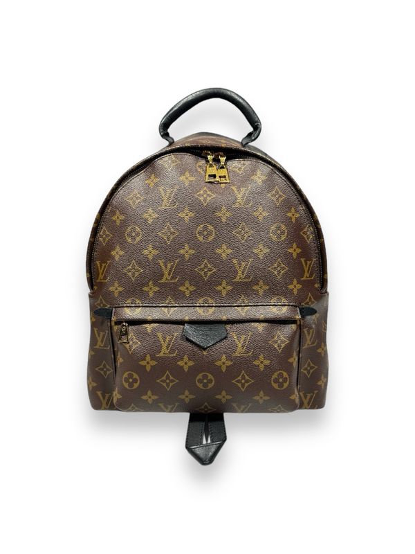 Louis Vuitton Monogram Palm Springs Backpack MM