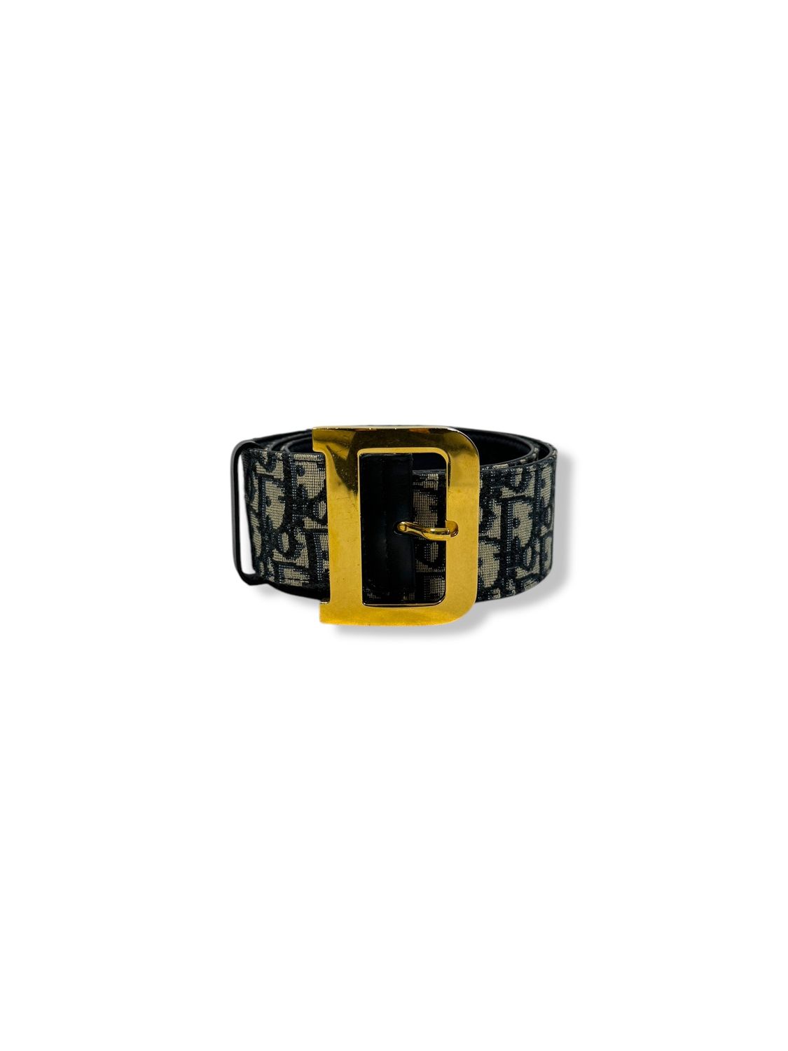 Dior Oblique Diorquake Belt (33/85)