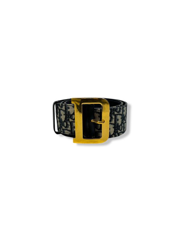 Dior Oblique Diorquake Belt (33/85)