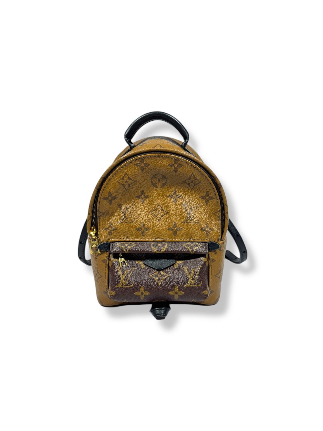 Louis Vuitton Reverse Monogram Palm Springs Mini Backpack