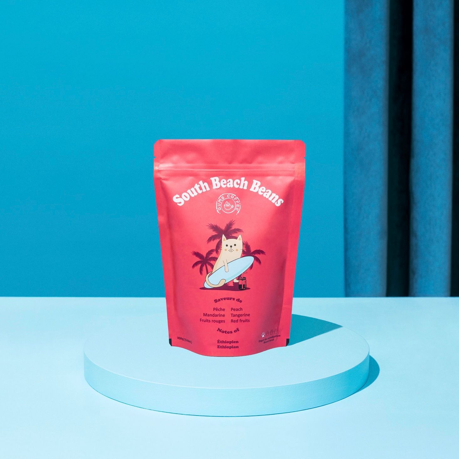 South Beach Beans Bundle