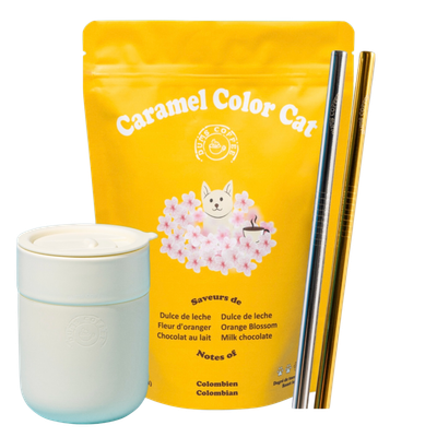 Caramel Color Cat Bundle