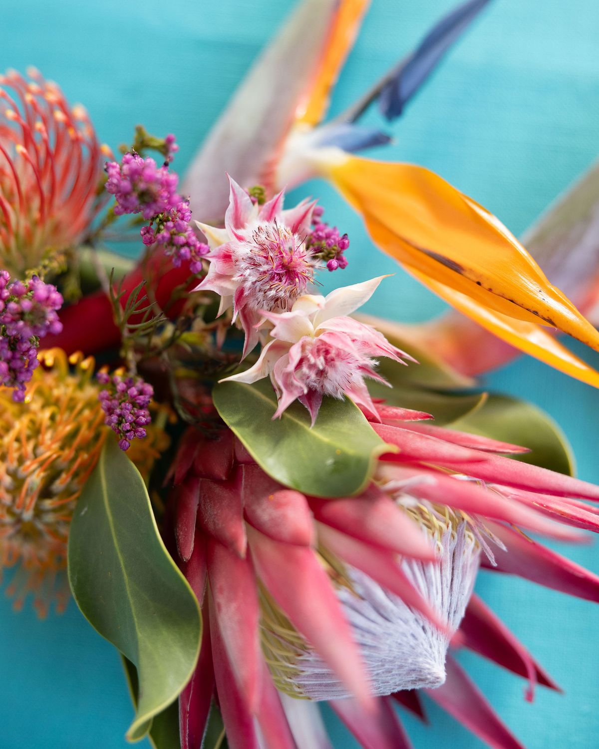 Protea Kombuismat
