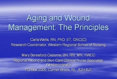 Aging and Wound Management: The Principles