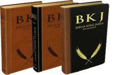 BIBLIAS DE ESTUDO