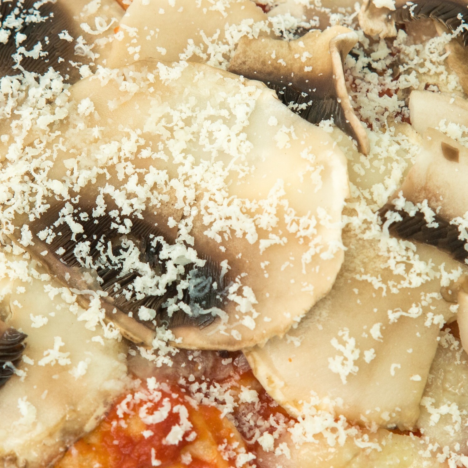 funghi