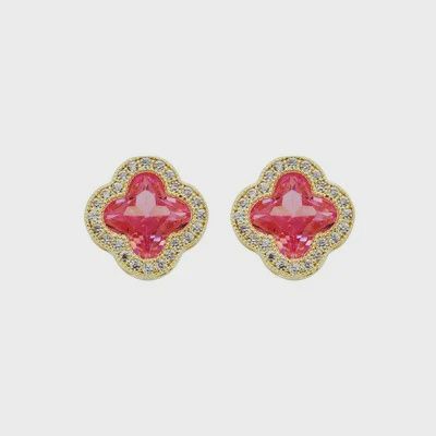 Turner Pink Earrings