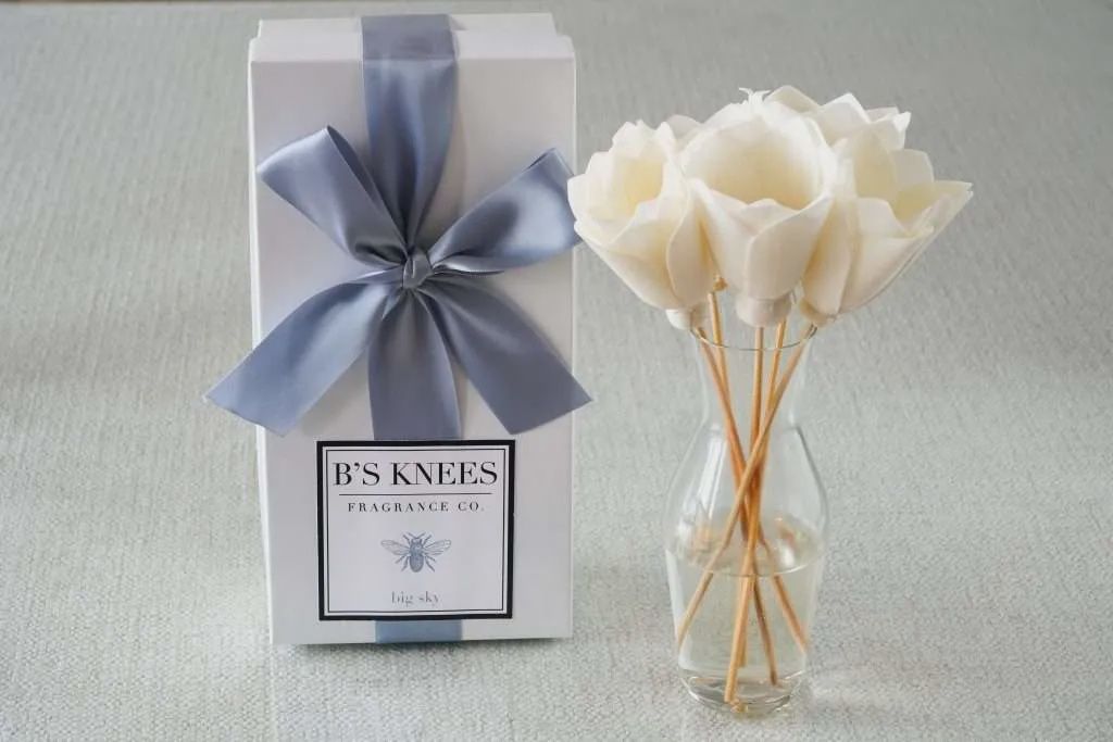 B&#39;s Knees Natural Reed Diffuser-Big Sky-Sims