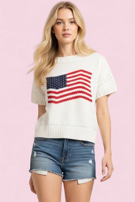 Pinch American Flag Knit Sweater